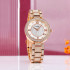 Skmei 1739RG Rose Gold, 1080-2026