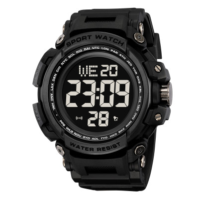 Skmei 2422BK Black, 1080-2821