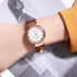 Skmei 2165RGWTBN Rose Gold-White-Brown, 1080-2598