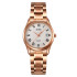 Skmei 2178RG Rose Gold, 1080-2503