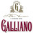 Товари Galliano