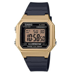 Чоловічий годинник Casio W-217HM-9A