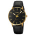 Skmei 2074GDBK Gold-Black, 1080-2215