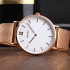 Skmei 1181SRG Rose Gold Steel, 1080-2020