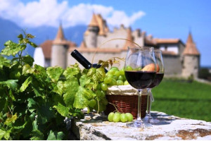 Історія французького виноробства - або чому ченці Франції були таким веселим народом