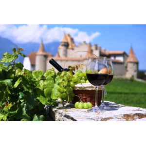 Історія французького виноробства - або чому ченці Франції були таким веселим народом>