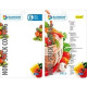 Набор ножей Maestro Rainbow Non-stick MR 1430, MR 1430, Maestro