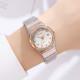 Skmei 2342TRG Rose Gold