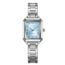 Skmei 2582SIBU Silver-Blue