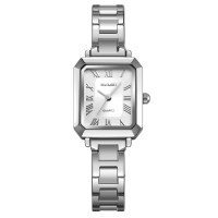 Skmei 2582SISI All Silver