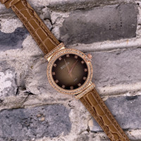 Bolun A560 Light-Brown