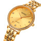 Skmei 2006GDGD Gold-Gold