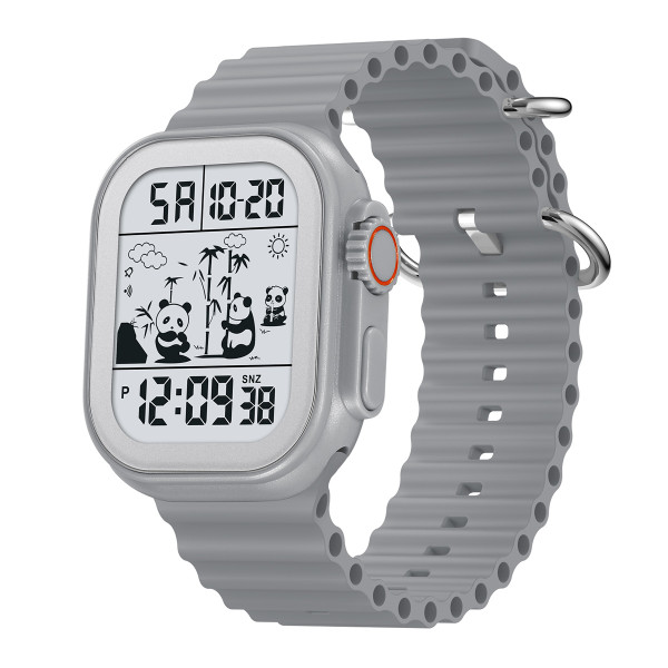 Skmei 2247GY Grey