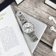 Guardo B01068-1 Silver-White