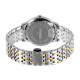 Skmei 9272TGDBK-S Gold/Silver-Black Lady