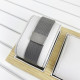 Apple In Silver-Black