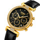 Skmei 2089GDBK Gold-Black