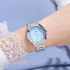 Skmei 1964SIBU Silver-Blue, 1080-1528