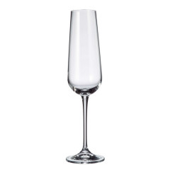 Набор бокалов для шампанского Bohemia Amundsen 220мл 6шт. 1SF57