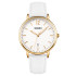 Skmei 1724GDWT Gold-White, 1080-1145, Skmei