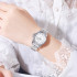 Skmei 2085SISI Silver, 1080-2343