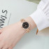 Skmei 1819RGBK Rose Gold-Black, 1080-1518