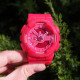 Casio G-Shock GA-110 Pink