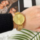 Наручний годинник Mini Focus MF0031L.01 All Gold, 1095-0046, Mini Focus