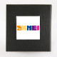 Коробока з логотипом Skmei Black 1000-0145